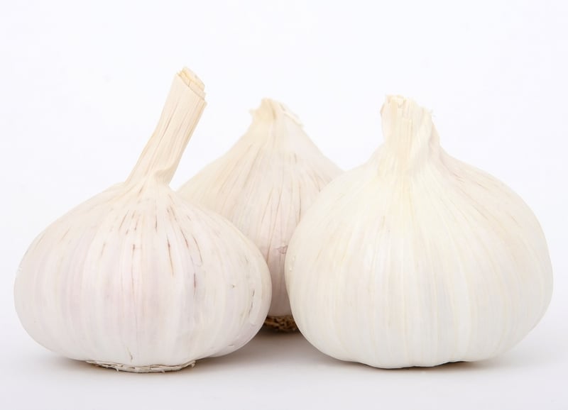 Garlic Paste